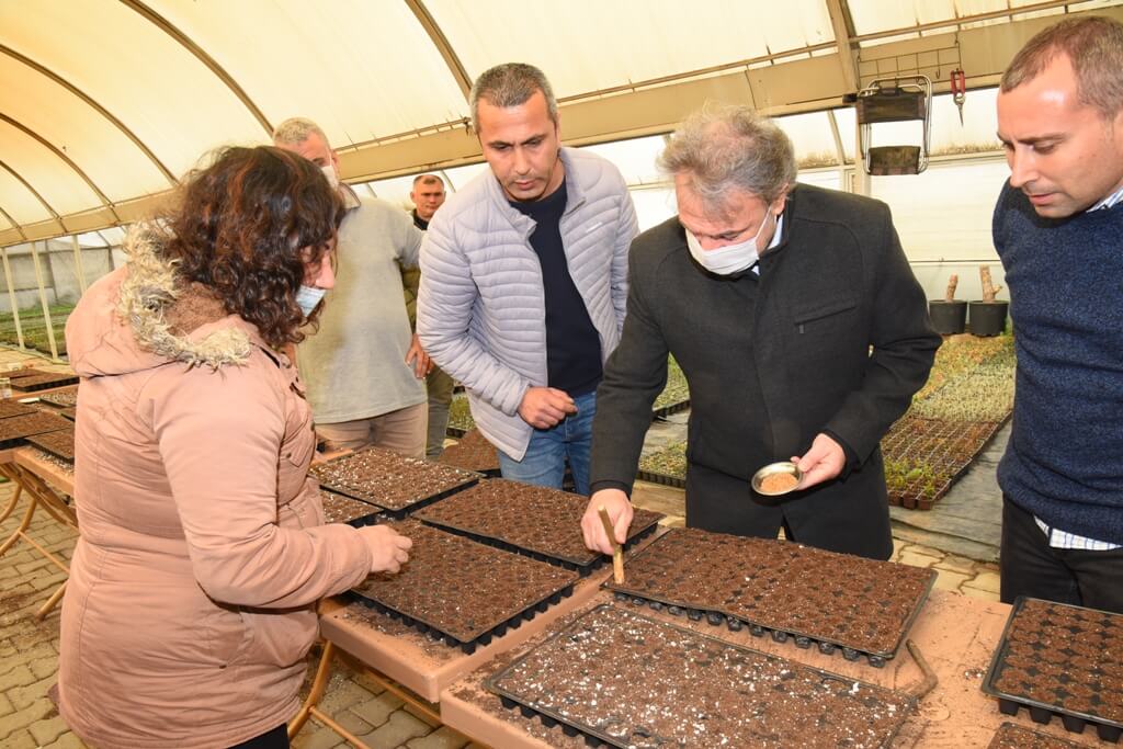 Pınarbaşı’da bulunan Belediye Fidanlığında tohumlar toprakla buluştu